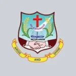 Bethlahem College of Nursing logo
